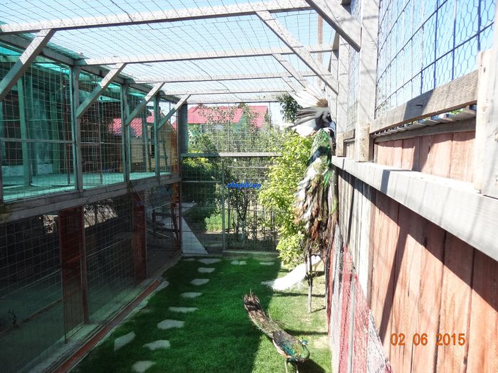 DSC00637
