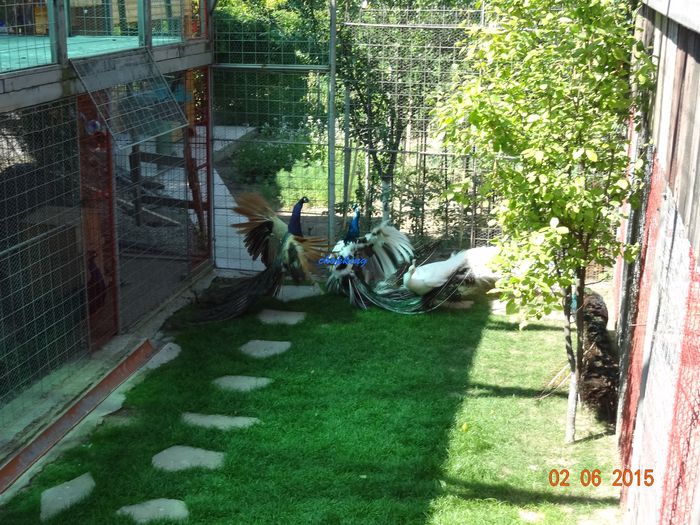 DSC00643
