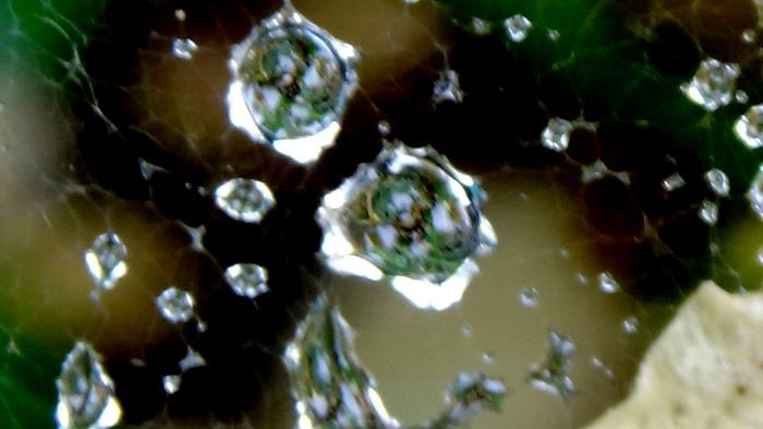 DSC06153