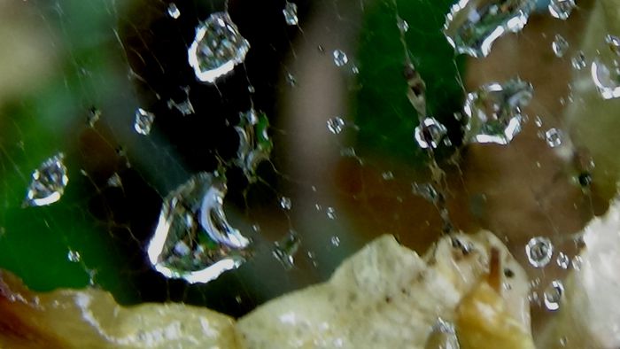 DSC06163