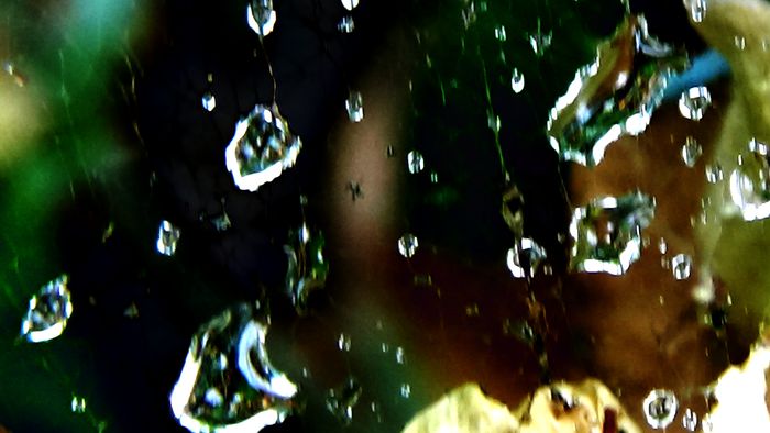 DSC06164