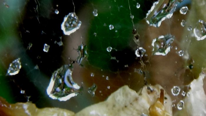 DSC06166