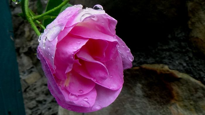 DSC06168