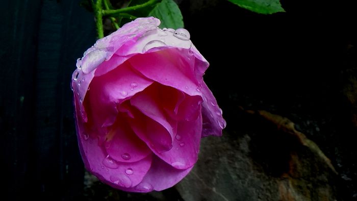 DSC06170