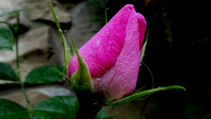 DSC06172