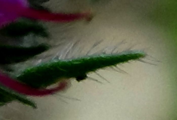 DSC06175