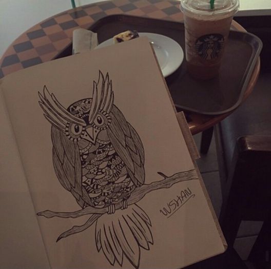 theSCRIPT - Adora desenul si bufnitele 1!