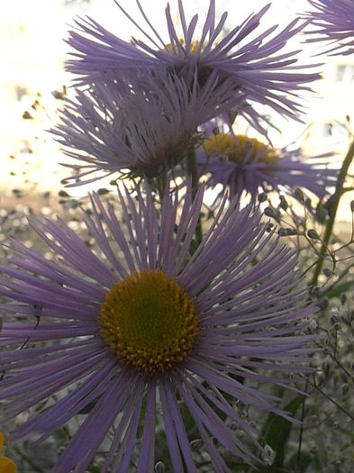 P6130549