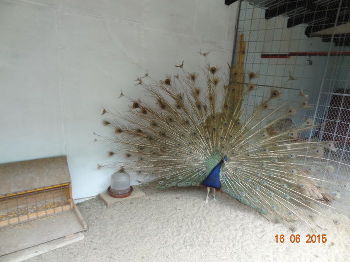 DSC01347