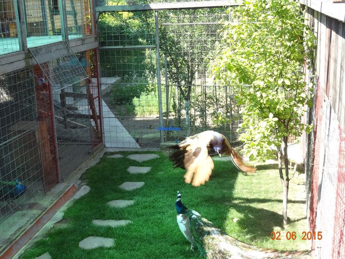 DSC00648