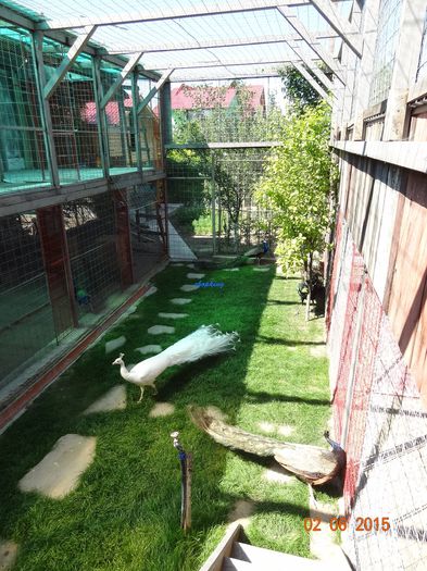DSC00662