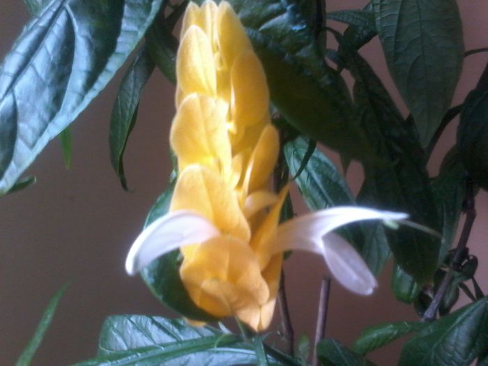 20150619_114333