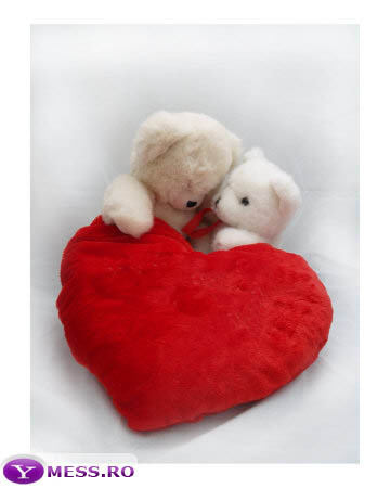 Heart-teddy-[1] - love