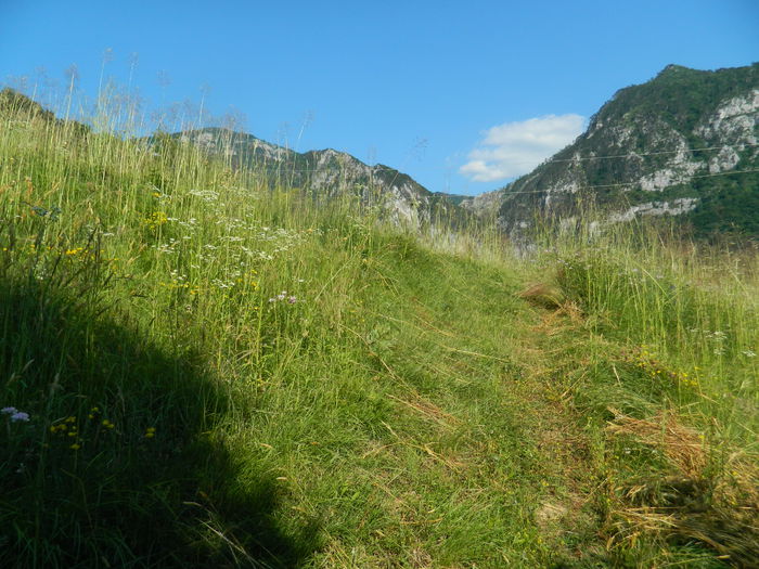 DSCN9927 - 2015_HERCULANE_2