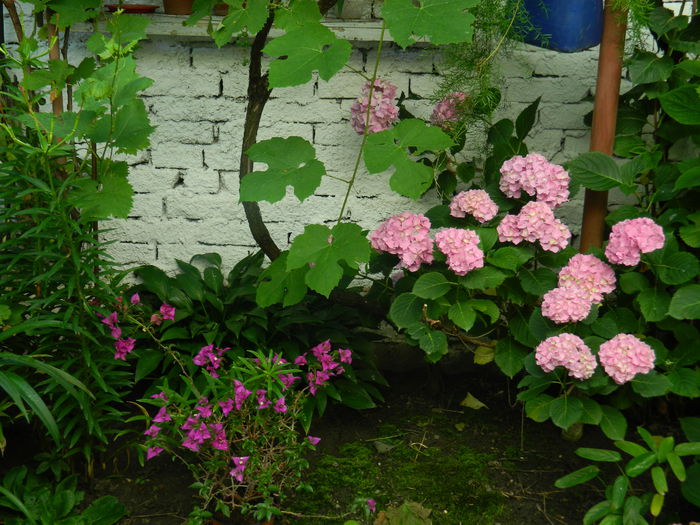 DSCN0759