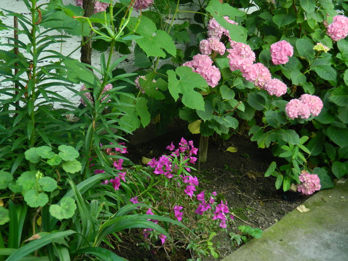 DSCN0856