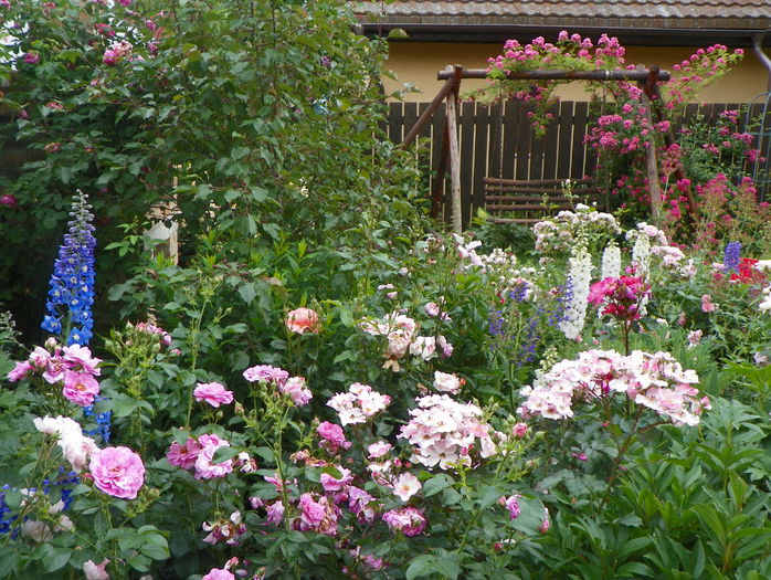 19 iun 133 - Gradina 2015