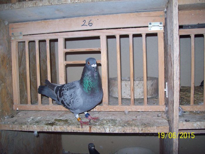 tare bine e in boxa mea.