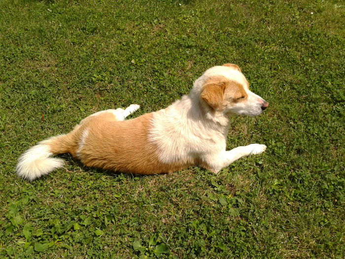 :) - AAAAAAAAA_OSMAN_IN MEMORIAM