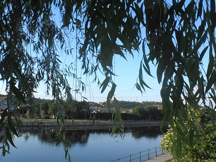 P6090001
