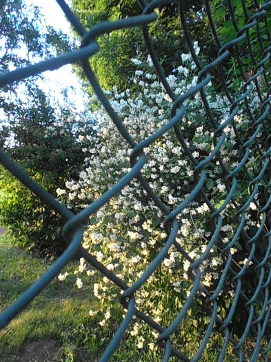P6090095