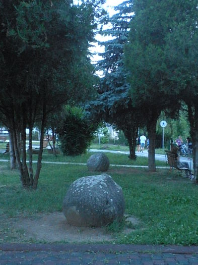 P6090254 - IN PARC