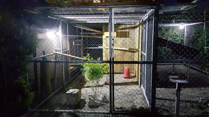 20150605_222440; Voliera
