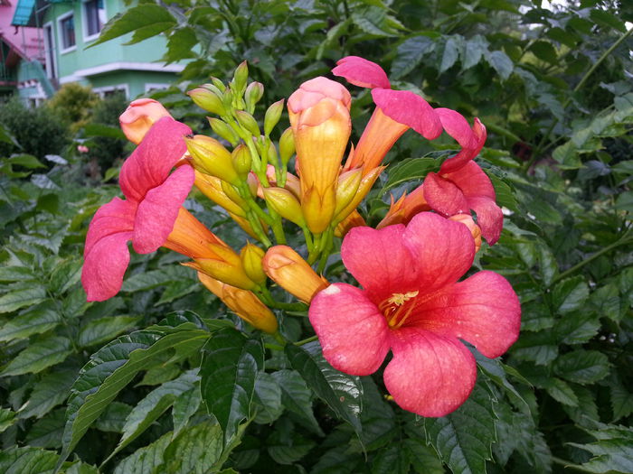 2015-06-17 19.25.53