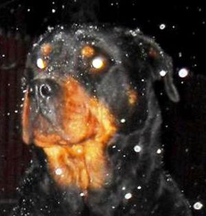 10550920_795302040506191_807557658645308342_n (1)