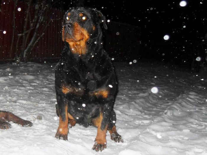 10550920_795302040506191_807557658645308342_n