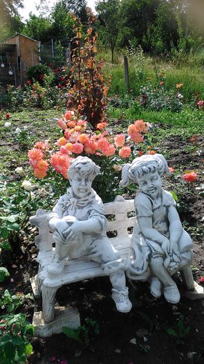 DSC_1229 - TRANDAFIRI 2015 II