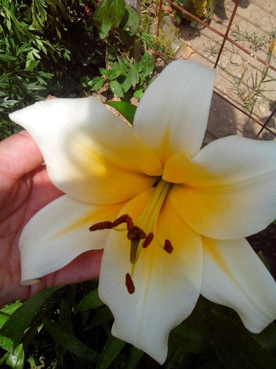 IMG_20150620_135019