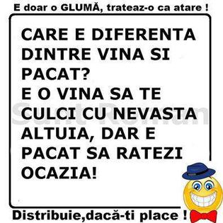 diferenta-vinc483-pc483cat - Diverse