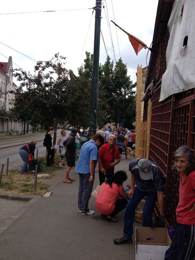 21.06.2015 - 0001TARGUL DE ANIMALE SI PASARI TIMISOARA 2017