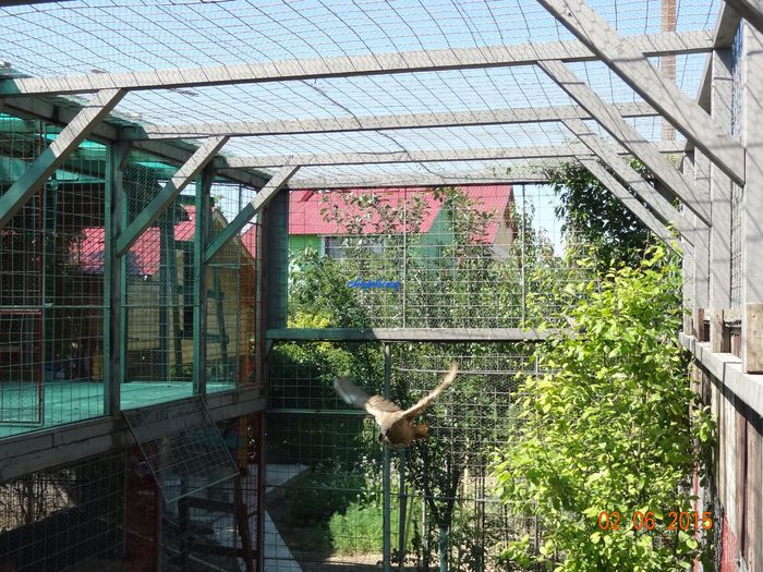 DSC00668