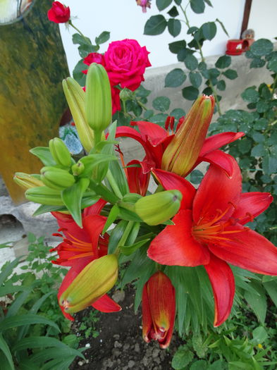 19.06.2015 - f-vara 2015