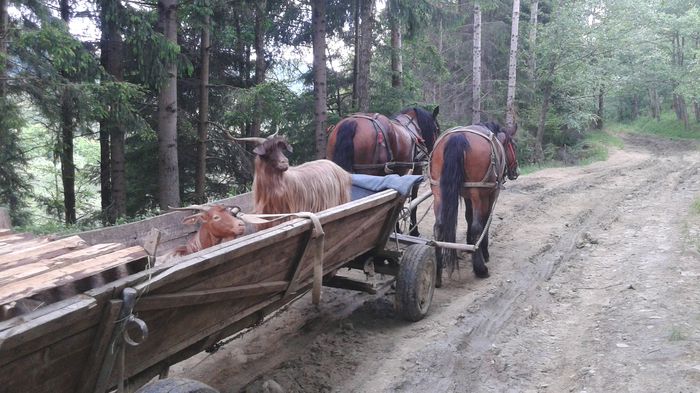 20150531_112519 - CAII 2015