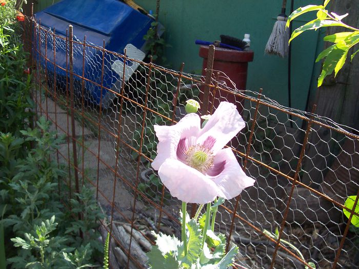 my photo 388