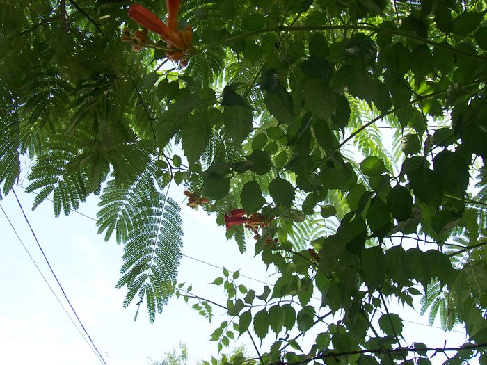 my photo 391