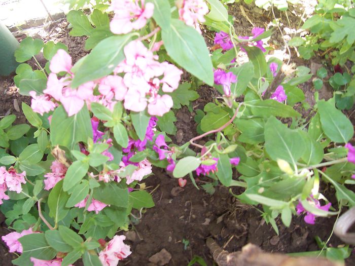 my photo 396