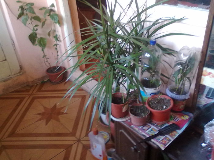 ABCD0004 - achizitii noi