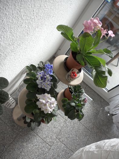 WIN_20150622_170212 - g_violete