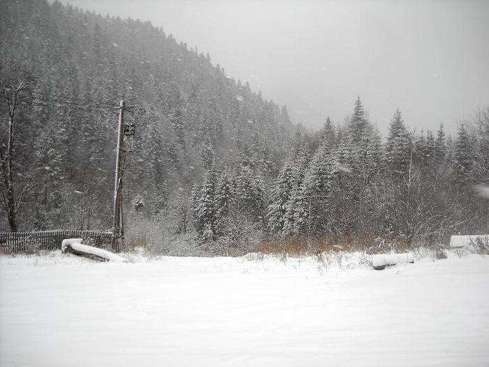 DSCN3027 - iarna