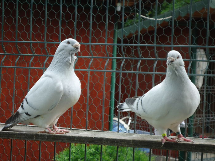 M-2011-10&F-2011-2846