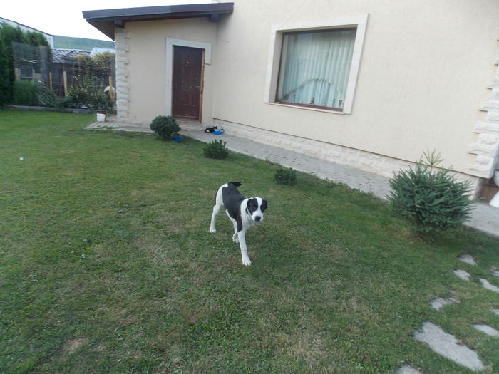 DSCN2182