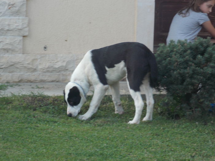 DSCN2197