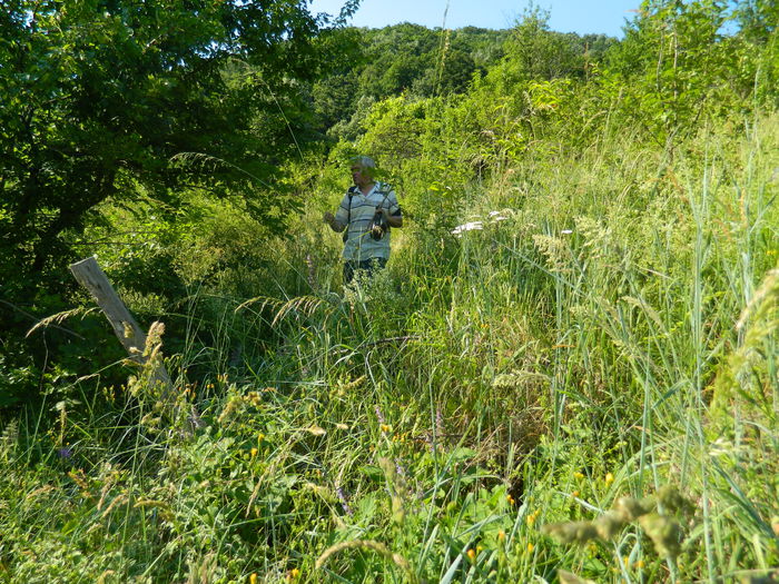 DSCN9972 - 2015_HERCULANE_2