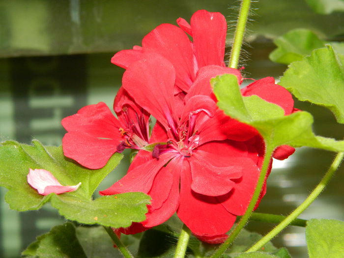 DSCN1255