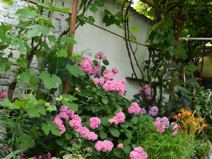 DSCN1282