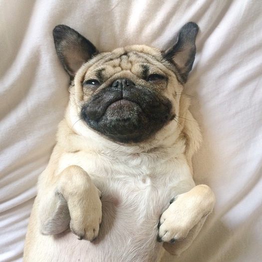 *se urca langa Ian si se bas;este*